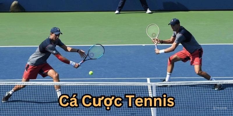 Tổng quan về cá cược Tennis và sức hút trên thị trường