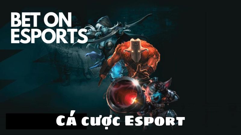 Tổng quan về cá cược Esports